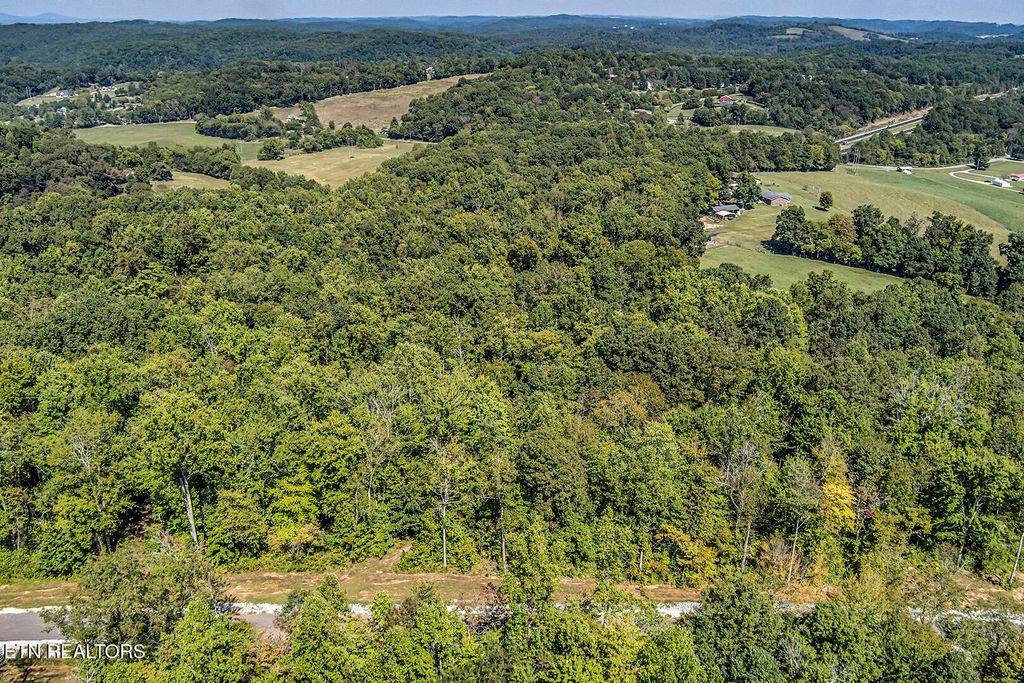 Photo of 167 Canter Way, Lenoir City, TN 37771 (MLS # 1315936)