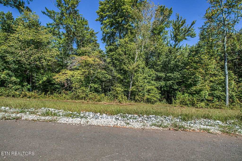 Photo of 167 Canter Way, Lenoir City, TN 37771 (MLS # 1315936)