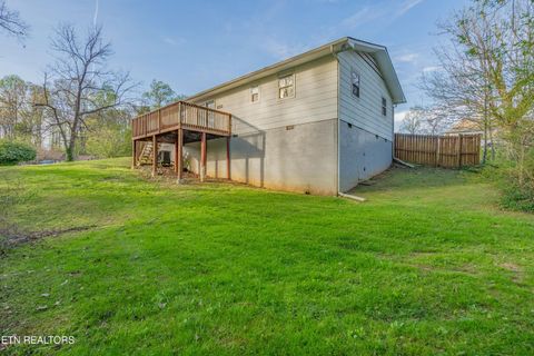 Tiny photo for 5624 Magazine Rd, Knoxville, TN 37920 (MLS # 1335353)