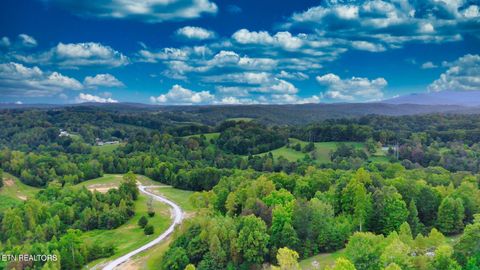 Tiny photo for Clearwater View Lane, LaFollette, TN 37766 (MLS # 1317048)