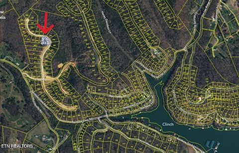 Tiny photo for Clearwater View Lane, LaFollette, TN 37766 (MLS # 1317048)