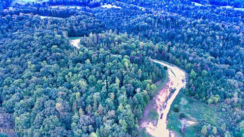 Tiny photo for Clearwater View Lane, LaFollette, TN 37766 (MLS # 1317048)