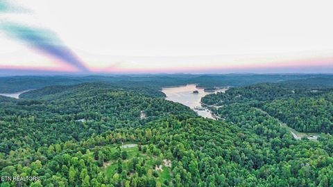 Tiny photo for Clearwater View Lane, LaFollette, TN 37766 (MLS # 1317048)