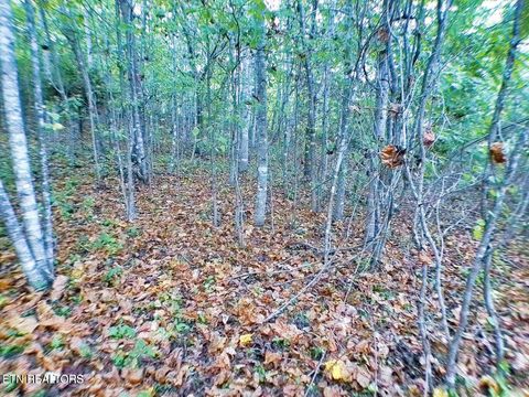 Tiny photo for Clearwater View Lane, LaFollette, TN 37766 (MLS # 1317048)