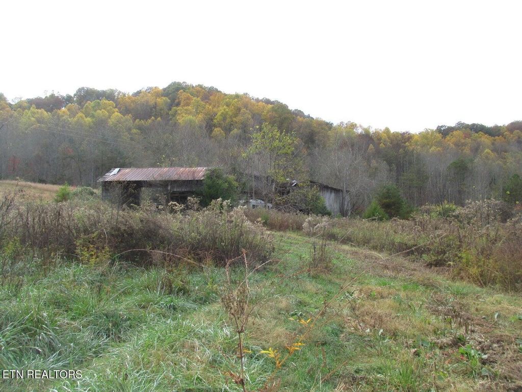 Photo of 5194 Jones Cove Rd, Cosby, TN 37722 (MLS # 1329408)