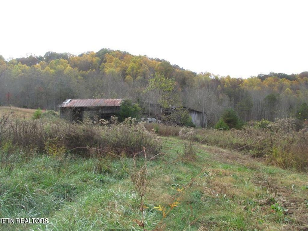 Photo of 5194 Jones Cove Rd, Cosby, TN 37722 (MLS # 1329408)