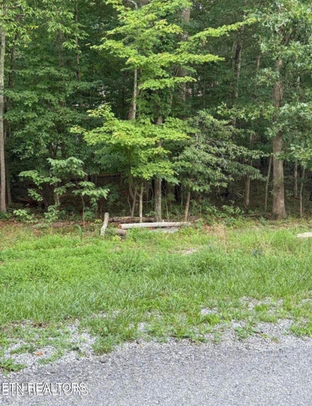 Photo of 108 Jana Drive, Crossville, TN 38558 (MLS # 1328408)