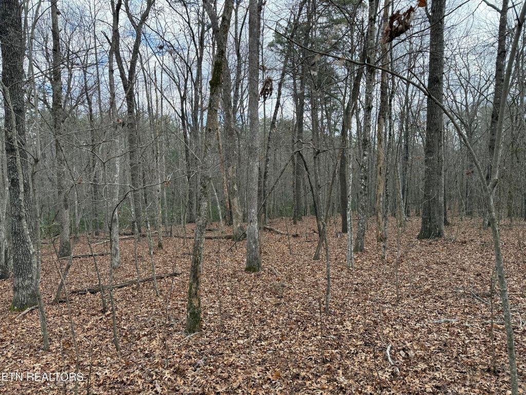 Photo of Street Place Loop, Monterey, TN 38574 (MLS # 1331784)