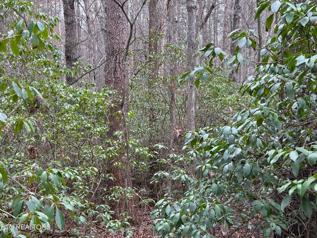 Photo of Street Place Loop, Monterey, TN 38574 (MLS # 1331784)