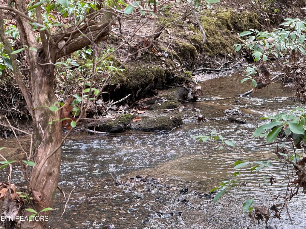 Photo of Street Place Loop, Monterey, TN 38574 (MLS # 1331784)