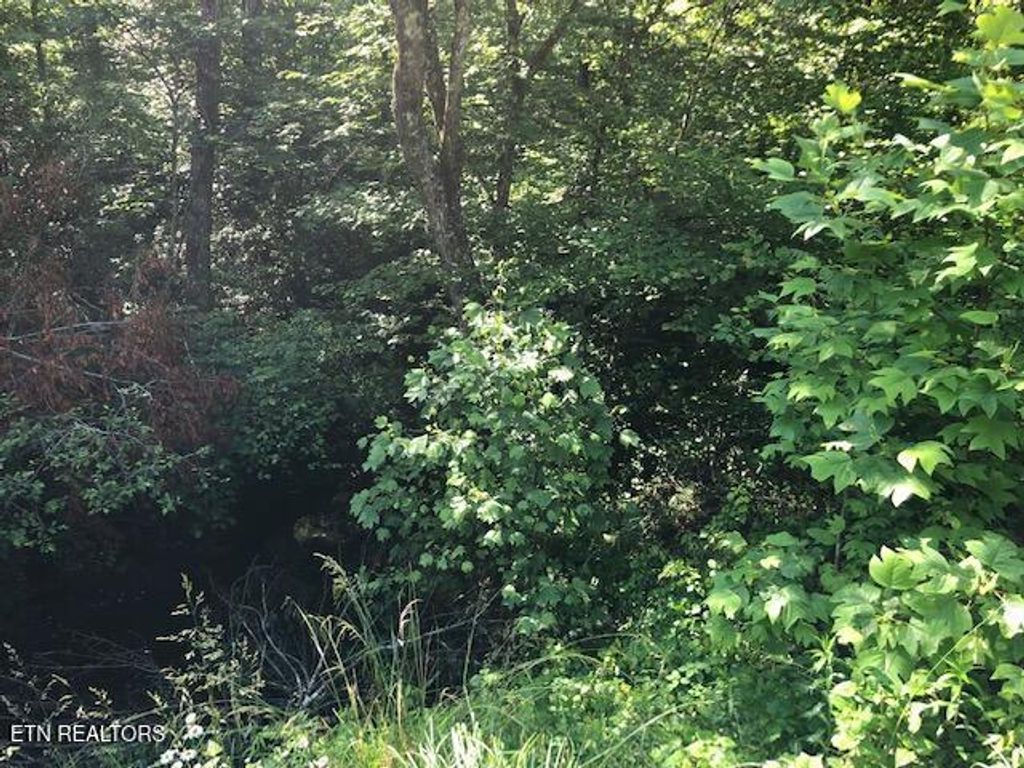 Photo of Street Place Loop, Monterey, TN 38574 (MLS # 1331784)