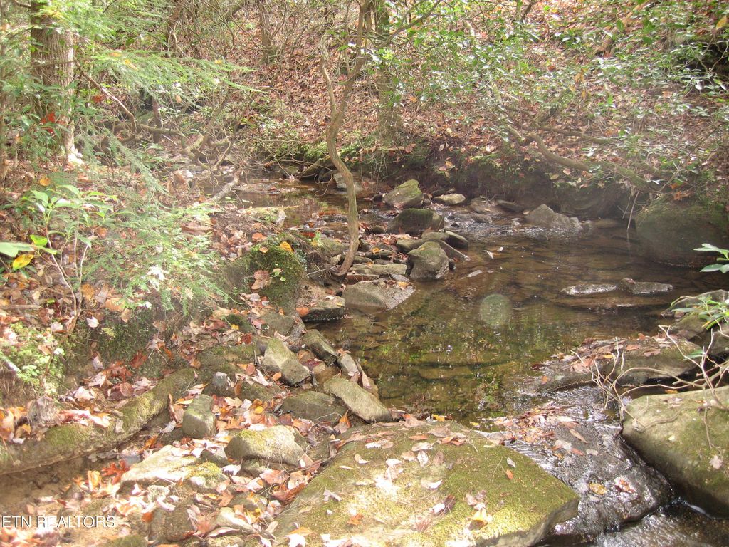 Photo of Street Place Loop, Monterey, TN 38574 (MLS # 1331784)