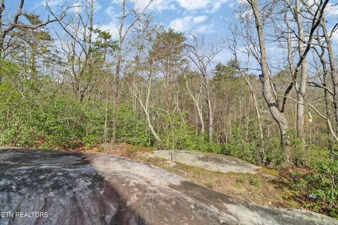 Tiny photo for 17 Leinster Court, Fairfield Glade, TN 38558 (MLS # 1335681)