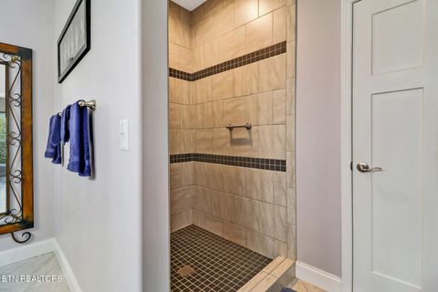 Tiny photo for 17 Leinster Court, Fairfield Glade, TN 38558 (MLS # 1335681)