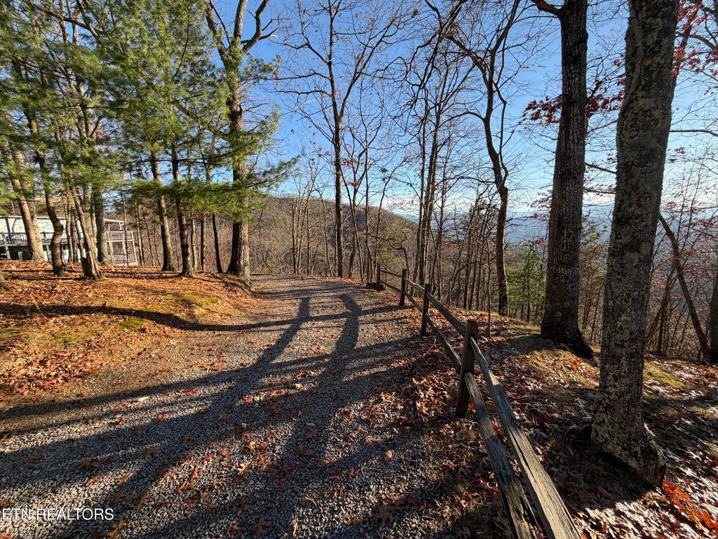 Photo of 1001 Old Laurel Lane, Sevierville, TN 37876 (MLS # 1324845)