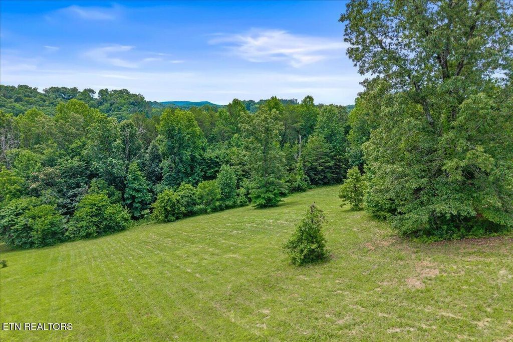 Photo of 101 Copper Still Way, Madisonville, TN 37354 (MLS # 1345492)