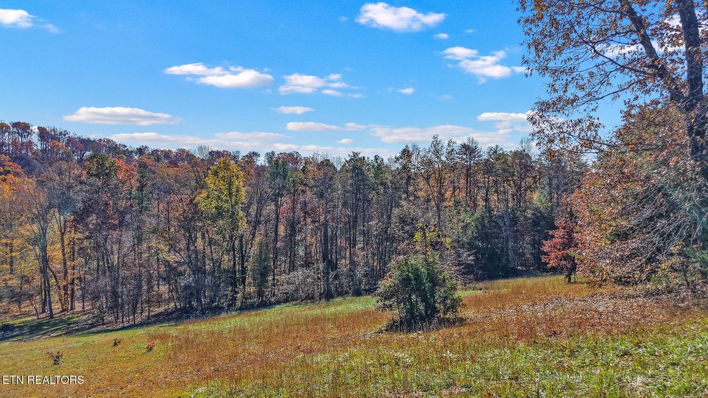 Photo of 101 Copper Still Way, Madisonville, TN 37354 (MLS # 1345492)