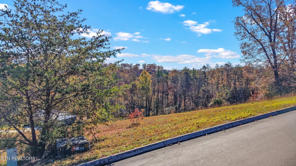 Photo of 101 Copper Still Way, Madisonville, TN 37354 (MLS # 1345492)