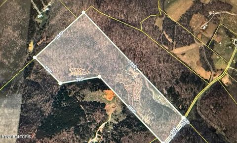 1375 Smith Hollow Rd Blaine TN 37709