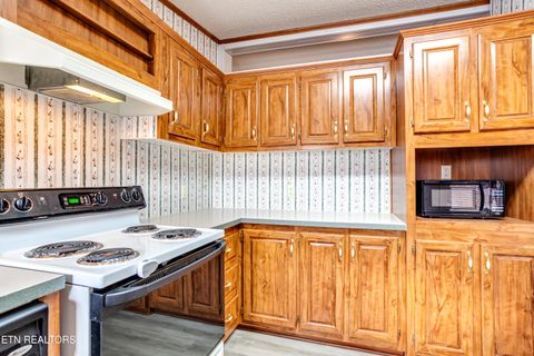 Tiny photo for 1214 Santa Anita Way, Sevierville, TN 37876 (MLS # 1324565)