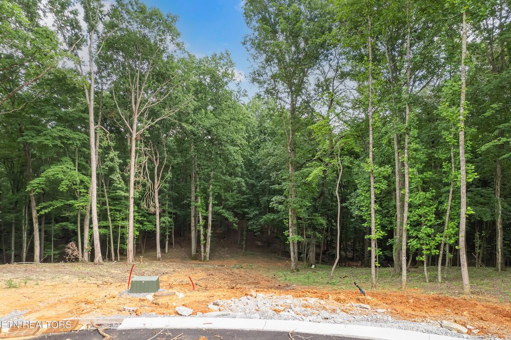 Photo of 362 Flip Flop Way, Loudon, TN 37774 (MLS # 1305720)