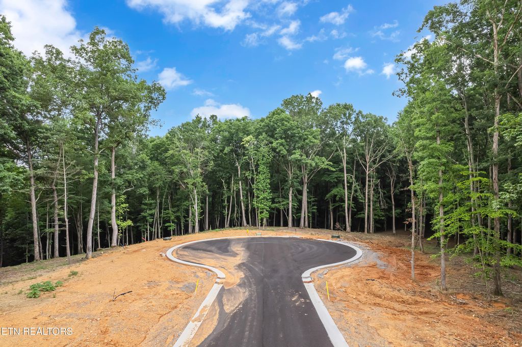 Photo of 362 Flip Flop Way, Loudon, TN 37774 (MLS # 1305720)