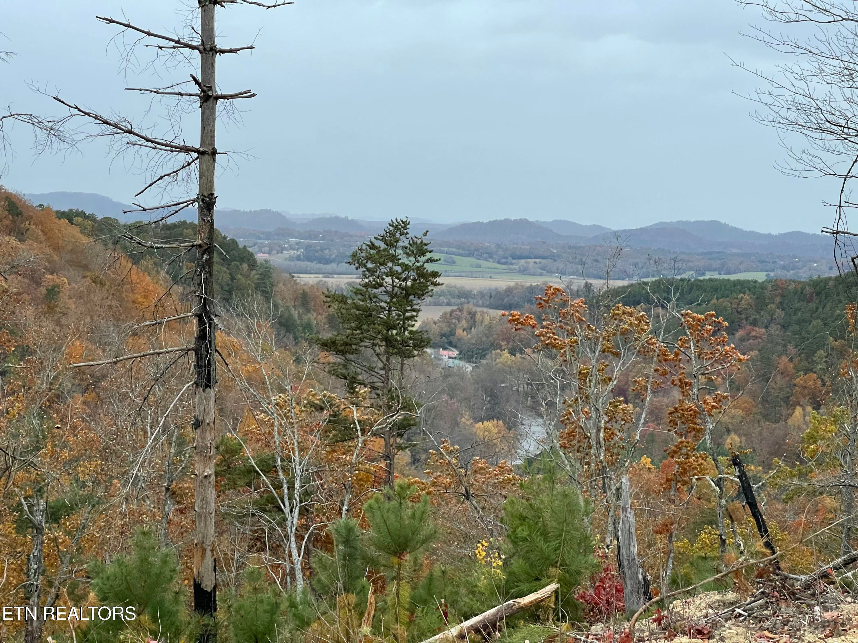 157 Quarry Creek Rd Lot 6