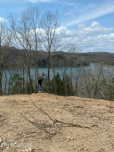 Tiny photo for 100 Bohart Lane, Byrdstown, TN 38549 (MLS # 1359274)