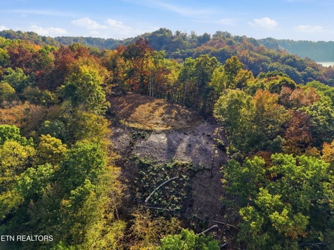 Tiny photo for 100 Bohart Lane, Byrdstown, TN 38549 (MLS # 1359274)