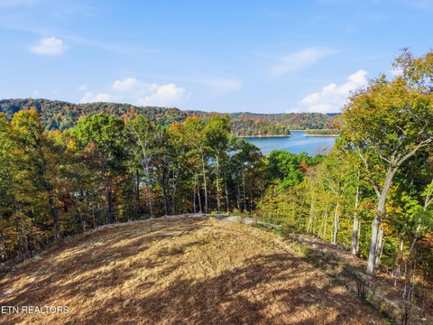 Tiny photo for 100 Bohart Lane, Byrdstown, TN 38549 (MLS # 1359274)
