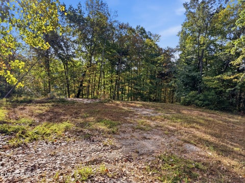 Tiny photo for 100 Bohart Lane, Byrdstown, TN 38549 (MLS # 1359274)