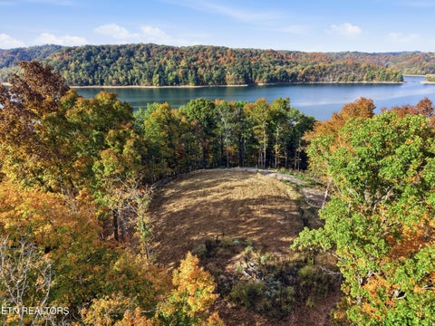 Tiny photo for 100 Bohart Lane, Byrdstown, TN 38549 (MLS # 1359274)