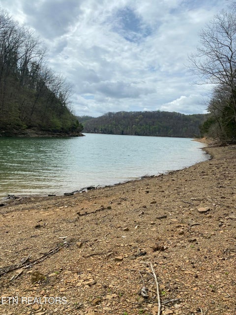 Tiny photo for 100 Bohart Lane, Byrdstown, TN 38549 (MLS # 1359274)