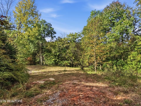 Tiny photo for 100 Bohart Lane, Byrdstown, TN 38549 (MLS # 1359274)