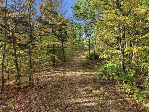 Tiny photo for 100 Bohart Lane, Byrdstown, TN 38549 (MLS # 1359274)