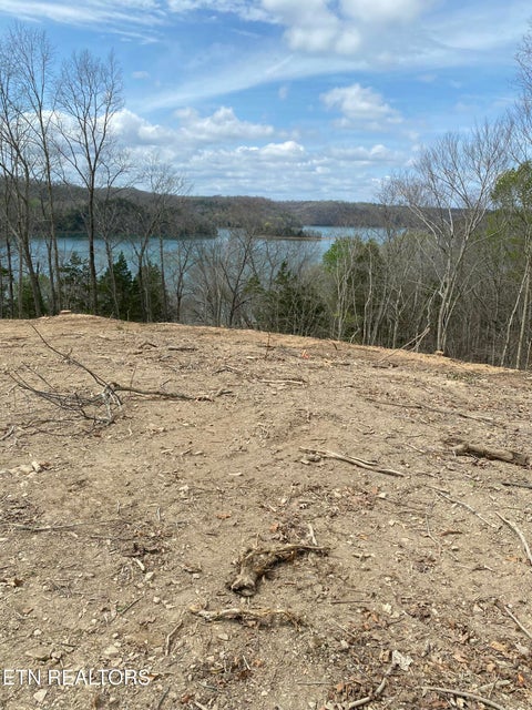 Tiny photo for 100 Bohart Lane, Byrdstown, TN 38549 (MLS # 1359274)