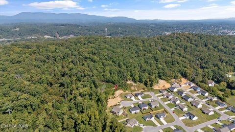Tiny photo for 211 Jason Hovater Way, Clinton, TN 37716 (MLS # 1359410)