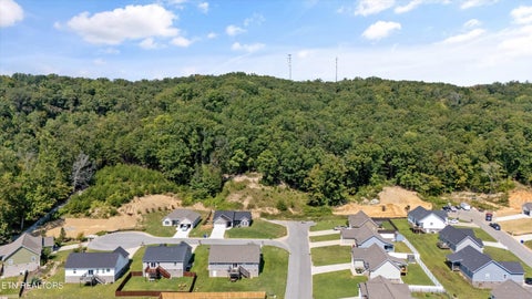 Tiny photo for 211 Jason Hovater Way, Clinton, TN 37716 (MLS # 1359410)