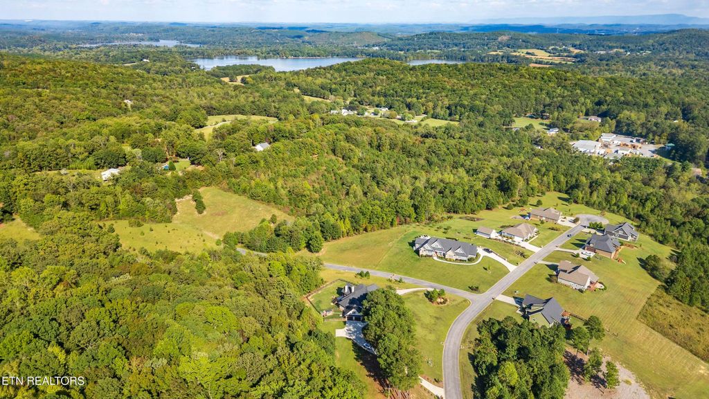 Photo of 187 Reserve Drive, Georgetown, TN 37336 (MLS # 1317566)