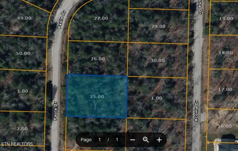 Photo of 923 Paola Drive, Crossville, TN 38572 (MLS # 1337488)