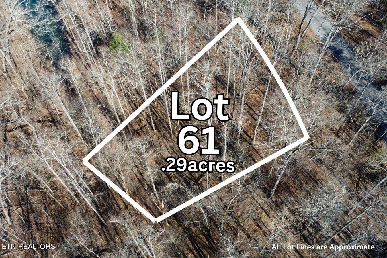 Lot 61 Hiwassee View Drive