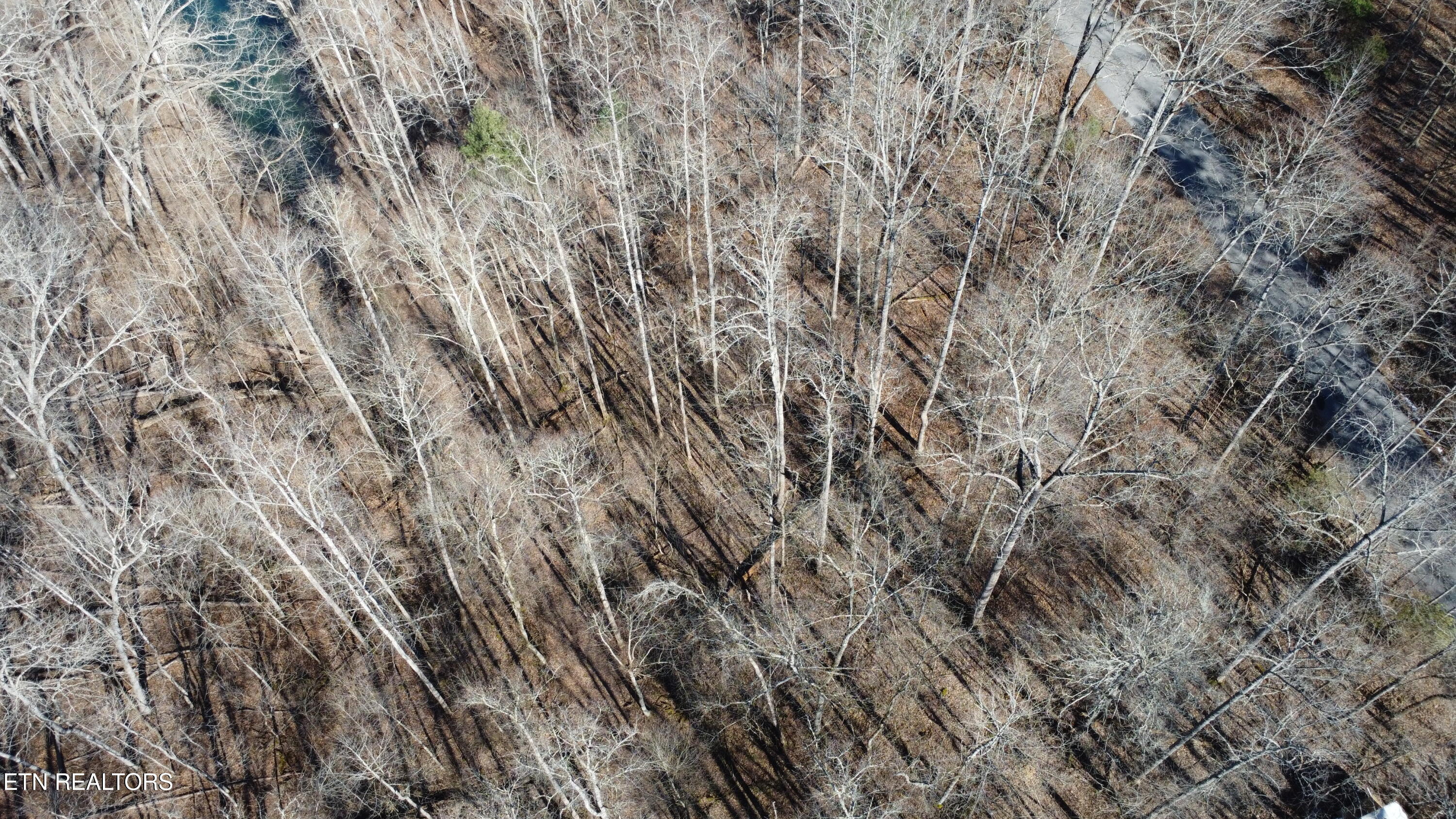 Lot 61 Hiwassee View Drive