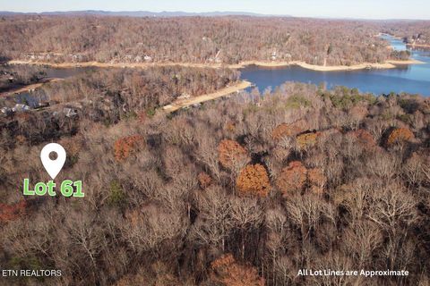 Lot 61 Hiwassee View Drive Jacksboro TN 37757