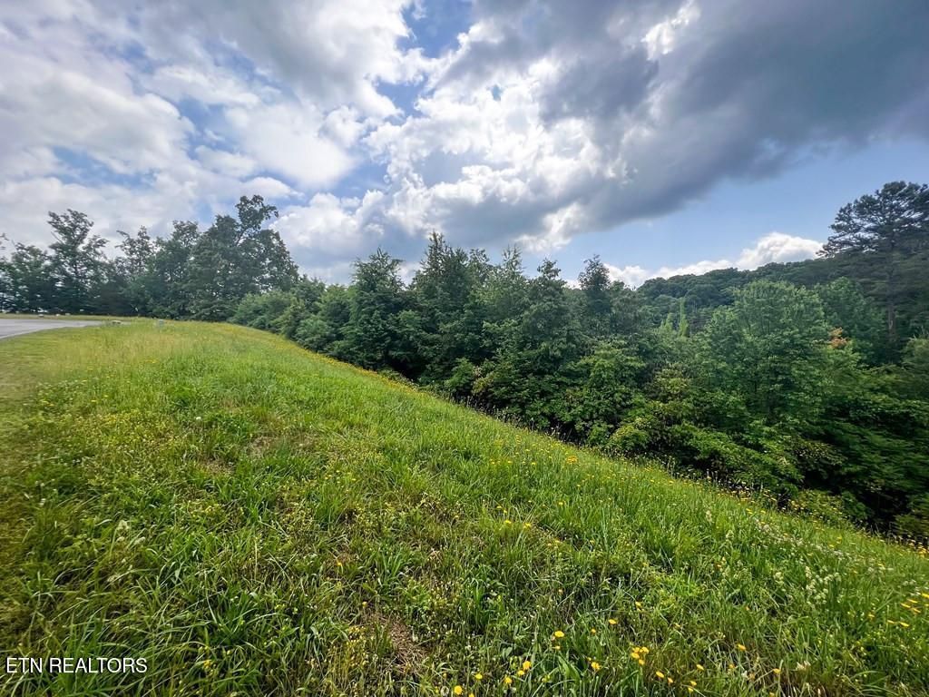 Photo of 6213 Outlook Tr, Russellville, TN 37860 (MLS # 1339138)