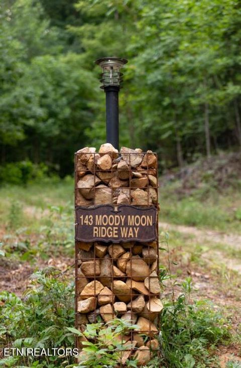 Tiny photo for 143 Moody Moon Ridge Way, Newport, TN 37821 (MLS # 1332009)