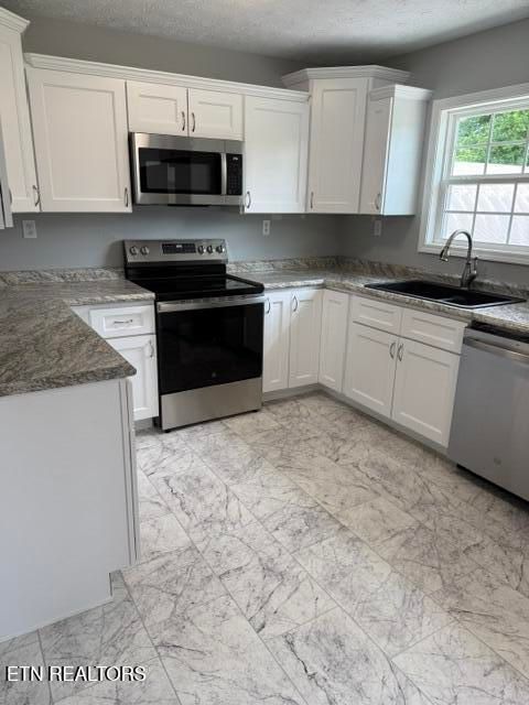 Tiny photo for 115 Susack Lane, Wartburg, TN 37887 (MLS # 1346158)