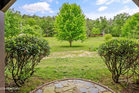 Tiny photo for 610 Towee Falls Rd, Tellico Plains, TN 37385 (MLS # 1340761)