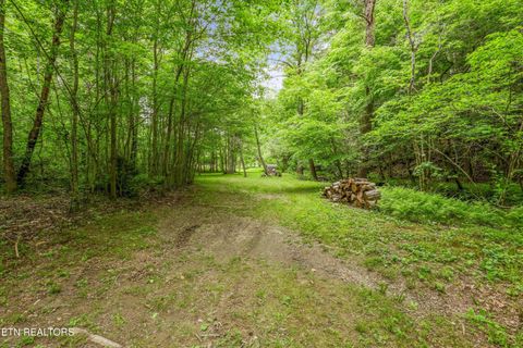 Tiny photo for 610 Towee Falls Rd, Tellico Plains, TN 37385 (MLS # 1340761)