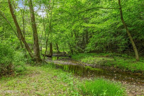 Tiny photo for 610 Towee Falls Rd, Tellico Plains, TN 37385 (MLS # 1340761)