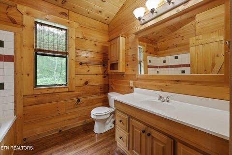 Tiny photo for 610 Towee Falls Rd, Tellico Plains, TN 37385 (MLS # 1340761)